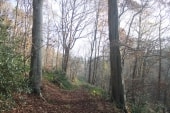 Bois de St Gervais et golf